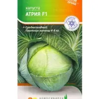 Семена Капуста "Атрия"  F1 15  шт