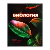 Тетрадь предметная 48 листов в клетку Calligrata &laquo;3D. Биология&raquo;, серые листы