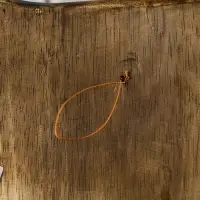 Настенное панно "Сова с галстуком" 25х16х2 см МИКС