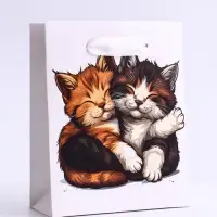 Пакет подарочный вертикальный &laquo;Обнимашки&raquo;, S 12&times;15&times;5.5 см