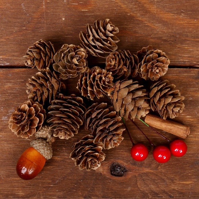 Набор новогоднего декора &laquo;Пряные шишки&raquo;