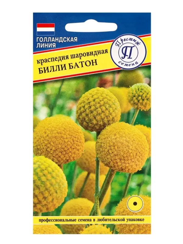 Семена цветов Краспедия шаровидная "Билли Батон", 10 шт