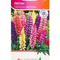 Семена Люпин Гибриды Расселя 0,5 г