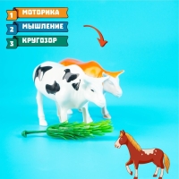 Набор фигурок животных &laquo;Домашние животные&raquo;, 6 штук, с аксессуарами