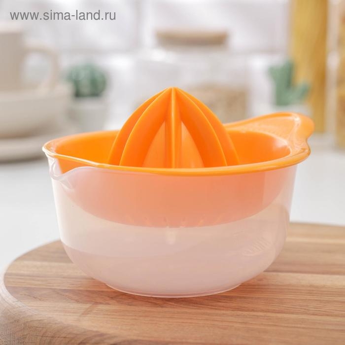Соковыжималка для цитрусовых &laquo;Мадена&raquo;, 300 мл, цвет МИКС