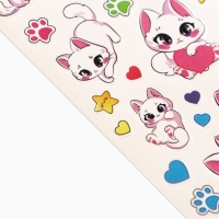 Заколки для волос &laquo;Самая необыкновенная&raquo; с наклейками, 8.5 х 13 см