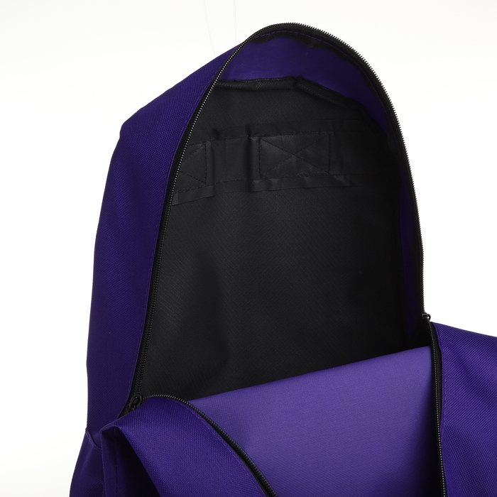 Рюкзак школьный на молнии, наружный карман, цвет фиолетовый