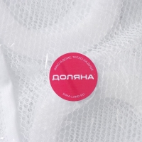 Мешок для стирки обуви Доляна, 26&times;29&times;9 см, до 40 размера