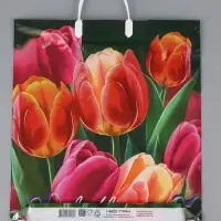Пакет "Яркие тюльпаны, полиэтиленовый с вырубной ручкой, пласт. 38х44 см, 90 мкм