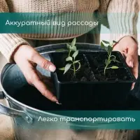 Кассета для выращивания рассады Greengo на 128 ячеек, по 15 мл, пластиковая, чёрная, 54&times;28&times;5 см