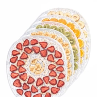 Сушилка для овощей и фруктов КТ-1902 - 250 Вт