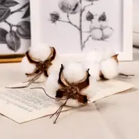 Декор сухоцвет &laquo;Хлопок&raquo;, d=5 см, белый