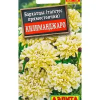 Семена цветов Бархатцы Килиманджаро прямостоячие , Ц/П,0,05 г