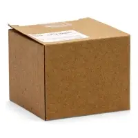 Кашпо "Мумия" 10 х 10 см