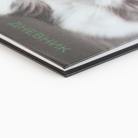 Дневник школьный 5-11 класс, в твердой обложке, 48 л. &laquo;Кошка&raquo;