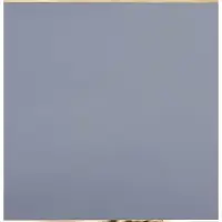 Пленка для цветов матовая, &laquo;С золотым тиснением&raquo;, 57&times;57 см, белая