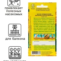 Семена  цветов Бархатцы "Золотой великан", О, 0,1 г