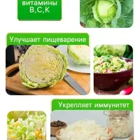 Семена Капуста белокочанная &laquo;Зимовка 1474&raquo;, 0.1 г