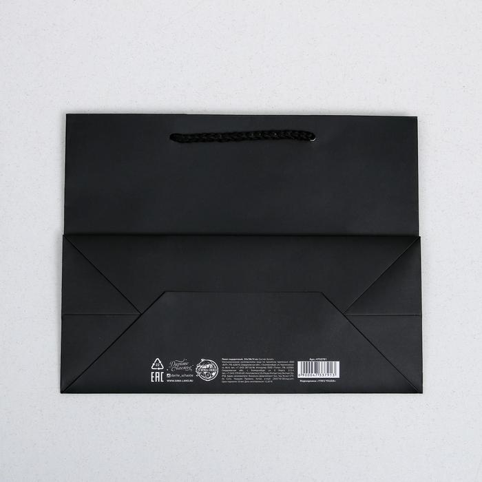 Пакет подарочный ламинированный горизонтальный, упаковка, Hobby, MS 23 х 18 х 10 см