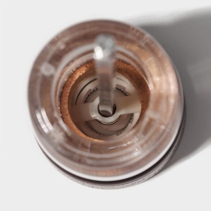 Мельница для специй Доляна &laquo;Эстет&raquo;, 22&times;5,5 см, керамический механизм, дуб