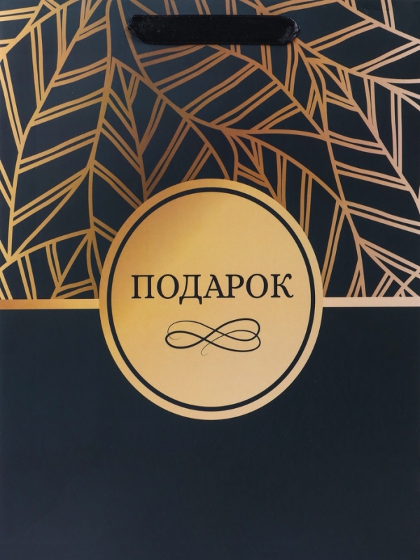 Пакет подарочный ламинированный вертикальный &laquo;Подарок&raquo;, M 26 &times; 32 &times; 12 см