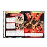 Энциклопедия &laquo;Аксолотль. Самые удивительные животные&raquo; 405007