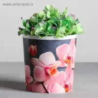 Кашпо для цветов &laquo;Орхидея&raquo;, 1,6 л, 14 х 14 см