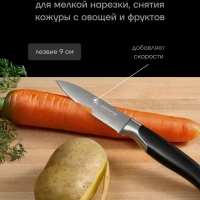 Набор кухонных ножей с ножеточкой Graphit-4SS 4 предмета