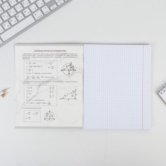 Тетрадь предметная 48 листов, А5, МРАМОР, со справ. мат. &laquo;1 сентября: Геометрия&raquo;, обложка мелованный картон 230 гр внутренний блок в клетку  белизна 96%