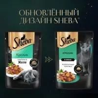Влажный корм Sheba для кошек, кролик в желе, пауч, 75 г