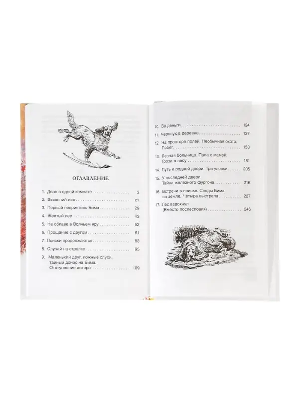 Внеклассное чтение. Белый Бим Чёрное ухо. Автор: Троепольский Г.