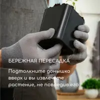 Горшок для рассады, 500 мл, d=8.5 см, h=10 см, пластик, чёрный, Greengo