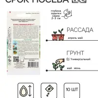 Семена Огурец "Любимый зятек" F1, раннеспелый, партенокарпический, 10 шт