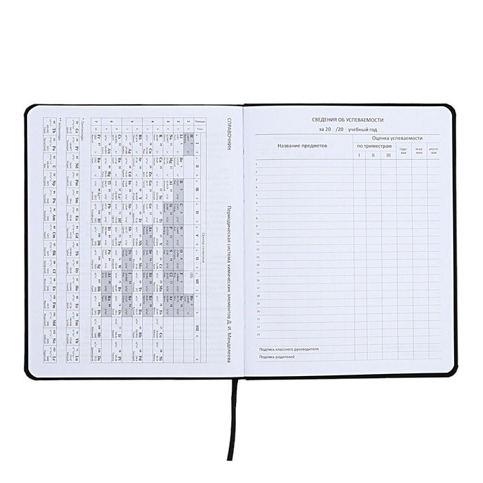 Дневник универсальный для 1-11 класса Anime Comix, интегральная обложка, искусственная кожа, шелкография, ляссе, 80 г/м2