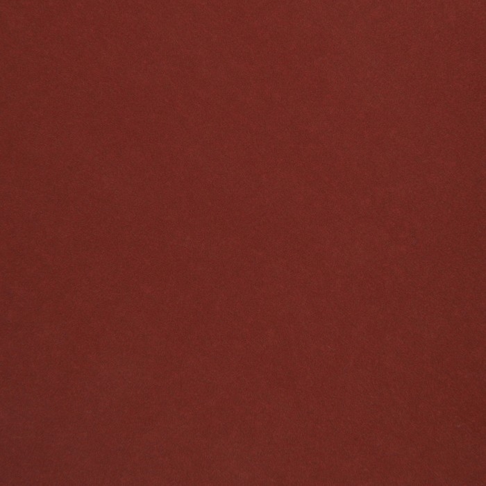 Круг абразивный шлифовальный под "липучку" ТУНДРА, 125 мм, Р2000, 10 шт.