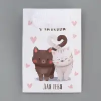 Пакет подарочный ламинированный, упаковка, &laquo;Котики&raquo;, 7&times;10&times;7 см