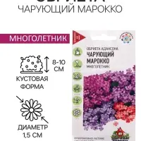 Семена цветов Обриета "Чарующий Марокко", ц/п,  0,05 г