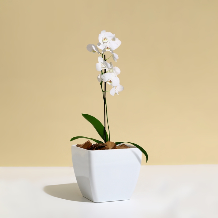 Кашпо для цветов, 13 &times; 13 см, 1,5 л, пластик, белое