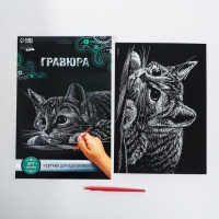 Гравюра &laquo;Котёнок&raquo; с металлическим эффектом &laquo;серебро&raquo; А4