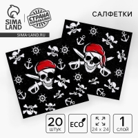 Салфетки бумажные &laquo;Пират&raquo;, однослойные, 24х24 см, набор 20 шт.