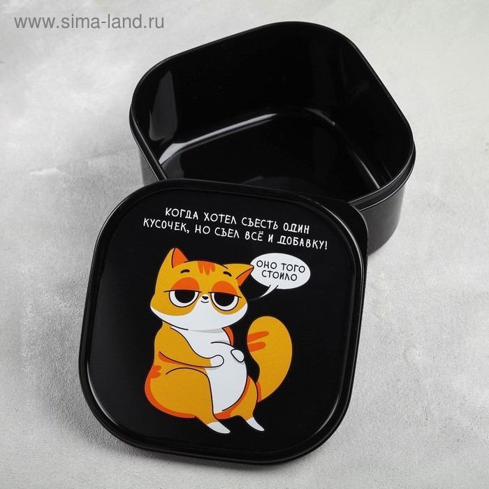 Ланч-бокс &laquo;Кот&raquo;, 700 мл