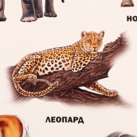 Плакат &laquo;Животные Африки&raquo;