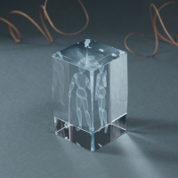 Сувенир стекло прямоугольник "Шарнирный человек" 5х5х8 см