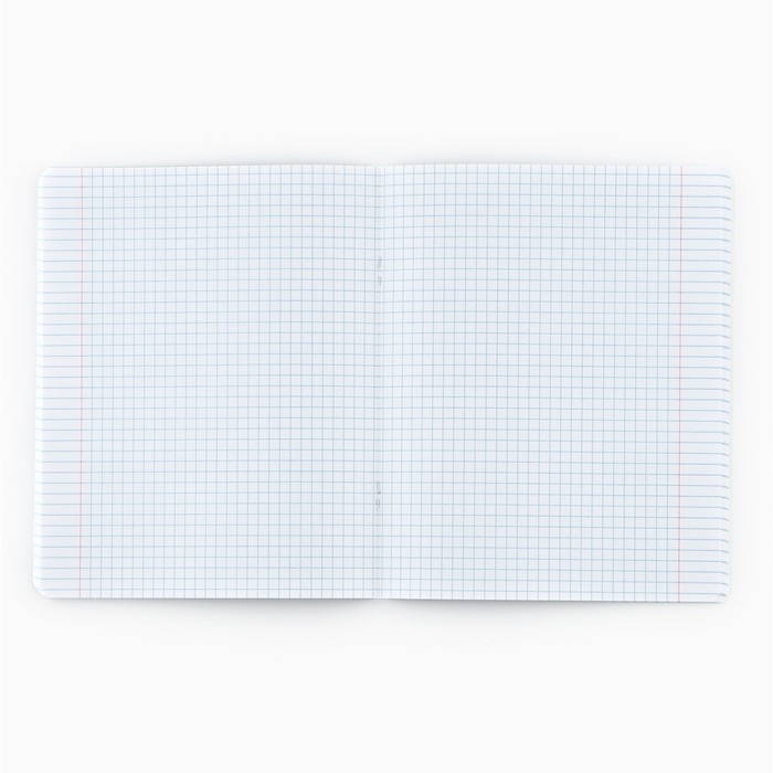 Тетрадь в клетку, 48 листов А5 на скрепке МИКС, &laquo;1 сентября: Шрифтовые черные&raquo;, обложка мелованный картон 230 грблок №1  белизна 96%