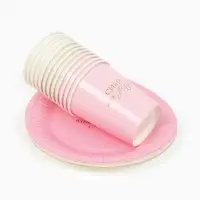 МП Набор бумажной посуды  "С Днём рождения" универсальный для девочки, девушки, 12 персон