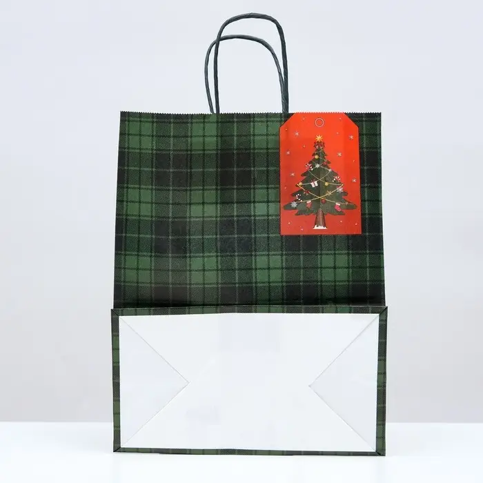 Пакет подарочный новогодний крафт &laquo;Зелёная клеточка&raquo; 22&times;12&times;27 см