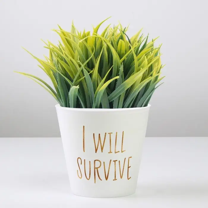 Кашпо для цветов &laquo;Текст&raquo;, 0,8 л