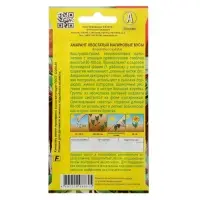 Набор семян Амарант "Малиновые бусы", О, 5 шт.