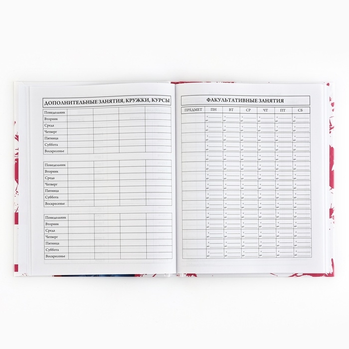 Дневник школьный 5-11 класс, в твердой обложке, 48 л. &laquo;Стиль&raquo;