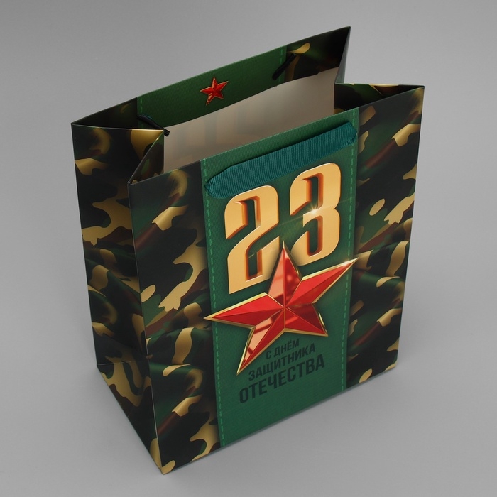 Пакет подарочный ламинированный вертикальный, упаковка, &laquo;С 23 февраля&raquo;, MS 18 х 23 х 10 см